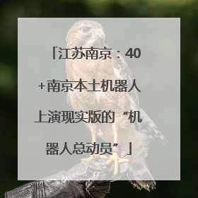 江苏南京：40+南京本土机器人上演现实版的“机器人总动员”